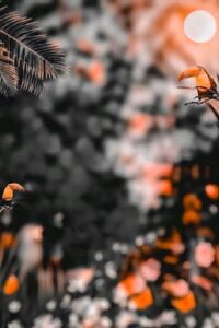 100+ CB HD Background Free Download 2025