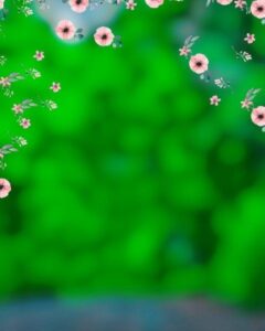 100+ CB HD Background Free Download 2025