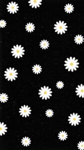 Instagram Viral Pic Background Download